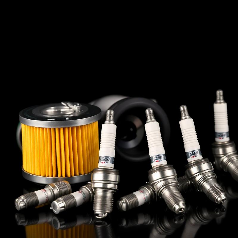 Motor i paljenje